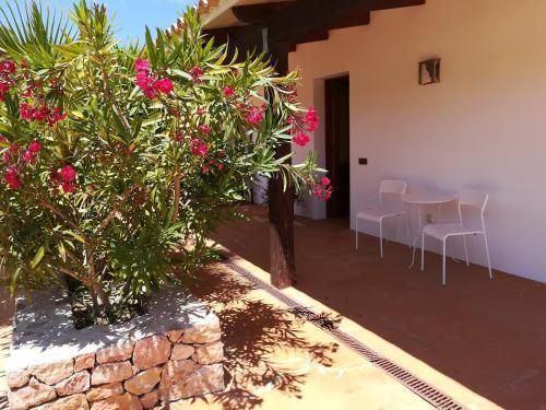 Es Pas Formentera Agroturismo