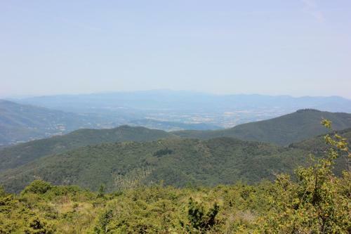 B&B Poggio Alla Cuna