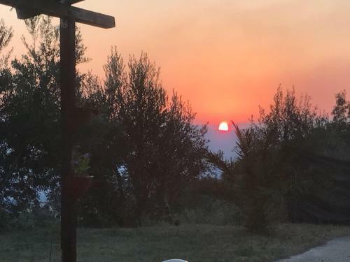 Agroturismo Agriturismo Pingitore