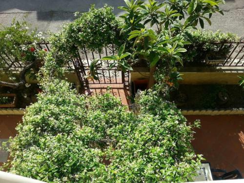 Apartamento Il Giardino Di Rosy