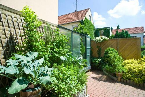 Apartamento Moltkestrasse 89