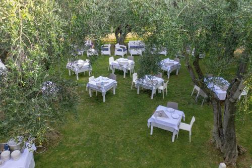 Ferienwohnung Ulivo Mit Pool Und Privatstrand