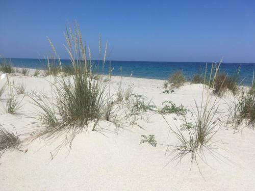 Casa Sulla Spiaggia- Mortelle
