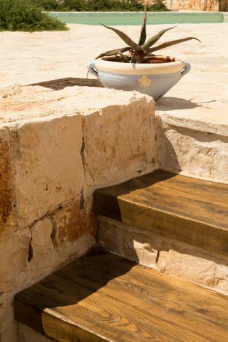 Bed & Breakfast Masseria Fenicia