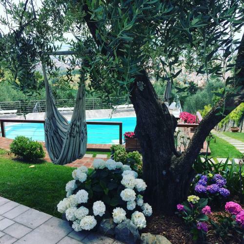 Apartamento Villa L'uliveta