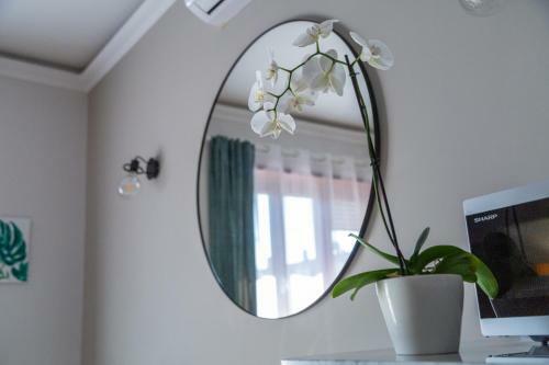 Hostal Salaria Rooms - Affitto Turistico