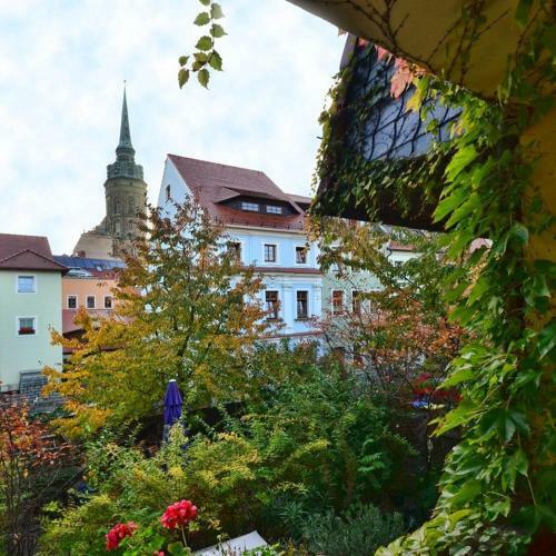 Hostal Haus Buchheim - Pension Am Schloss