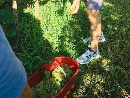 Agroturismo Incanto Del Garda
