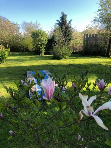 Alte Kate Mit Bau-& Zirkuswagen Im Gartenidyll