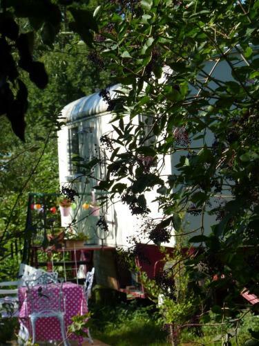Alte Kate Mit Bau-& Zirkuswagen Im Gartenidyll