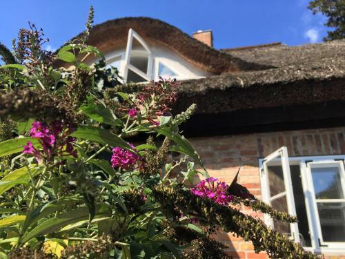 Alte Kate Mit Bau-& Zirkuswagen Im Gartenidyll