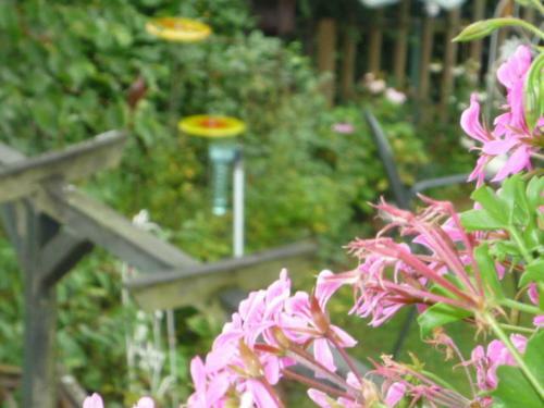 Apartamentos G�stehaus Rosengarten Im Nahetal
