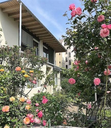 Apartamento Stadtoase Koblenz