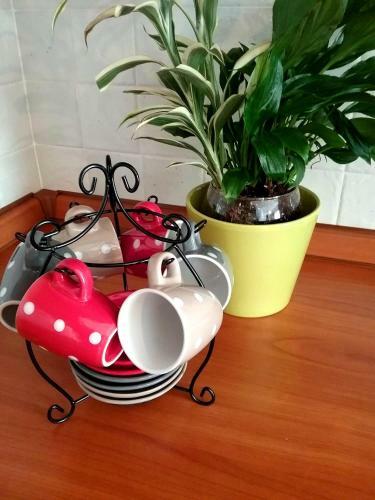 Apartamento Appartamento Ai Tigli