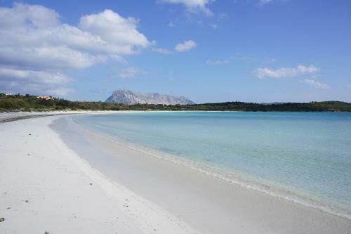 Sardinian Holiday