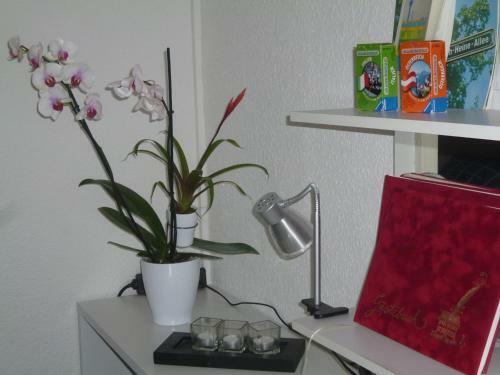 Airport Apartment