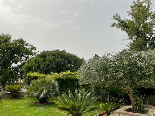 Bed & Breakfast Music House Palinuro