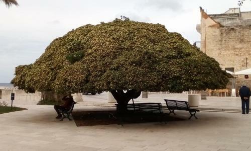 Casa In Salento A Otranto