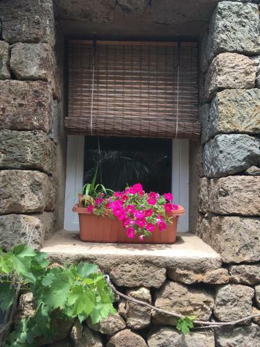 Apartamento Le Casette Di Marilena Agave Iucca