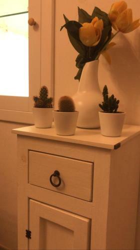 Edyta's Apartment