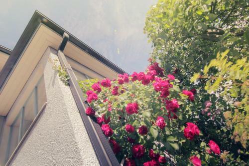 Aparthotel Apartment Hotel Kuukkarin Kortteeri
