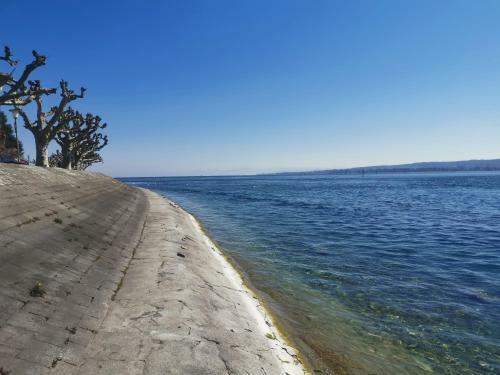 Apartamento Ferienwohnung Stachel