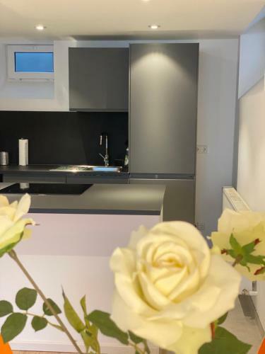 Apartamento Dreamy Luxury Basement In Cologne