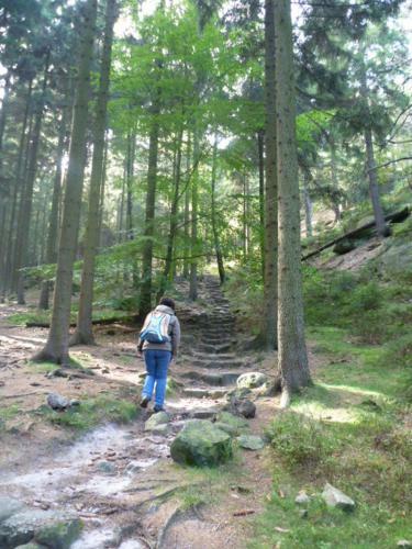 Apartamento Ferienwohnung Zittauer Gebirge