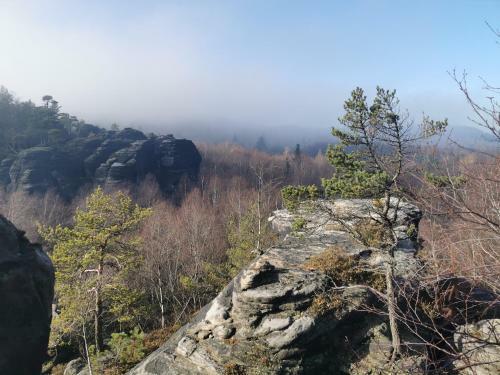 Apartmenthaus Zum Gr�nbach 13