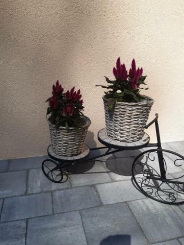Hostal G�stehaus Am Walde - Familie Troller