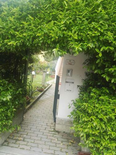 Bed & Breakfast Il Gelsomino Casa Vacanze