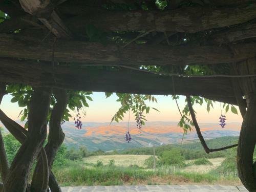 Villa Podere Del Piccini Val D?orcia Toscana