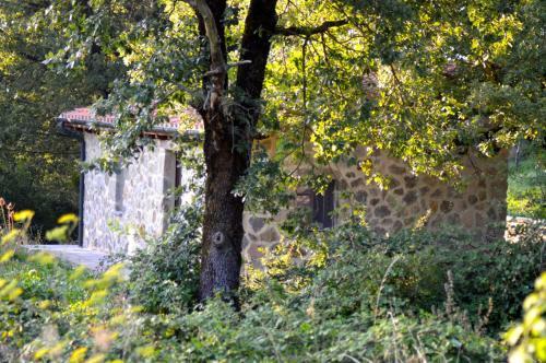 Agroturismo Agriturismo I Troni