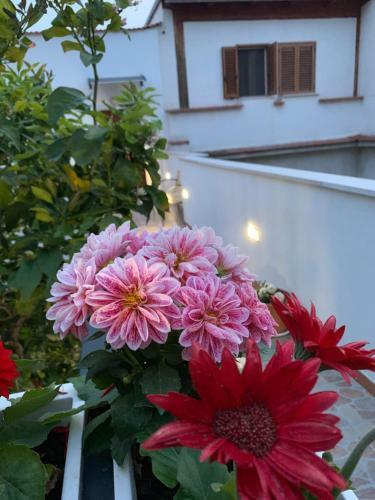 B&B Di Fiore