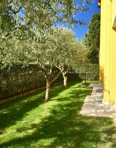Apartamento Appartamenti Agli Ulivi