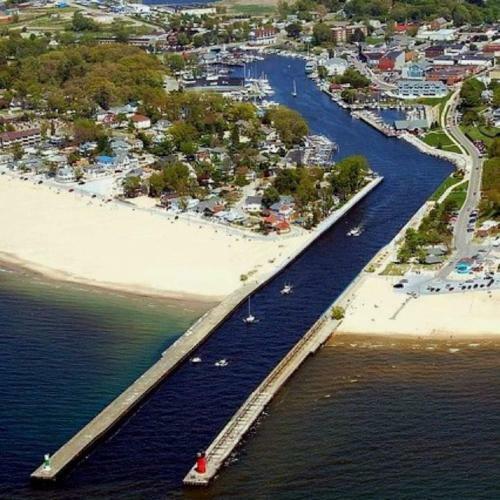 The Roost Of South Haven