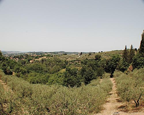 Apartamento Papaiano 1
