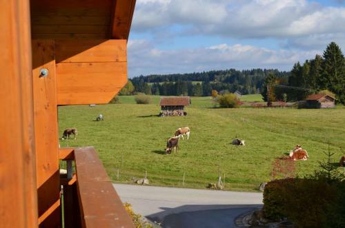Feriendorf Via Claudia Haus 42 Onkel Leo