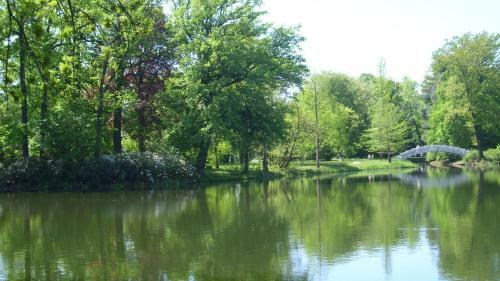 Apartamento Ferienhaus Wittig