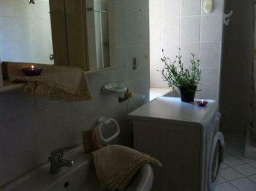 Apartamento Appartamenti Centro Policastro