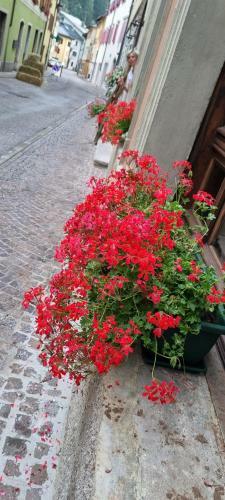 Hotel Albergo Spina