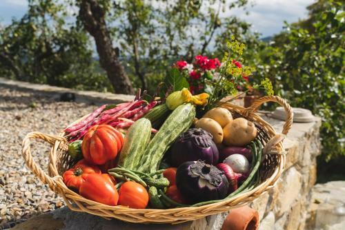 Agroturismo Agriturismo Le Fonti