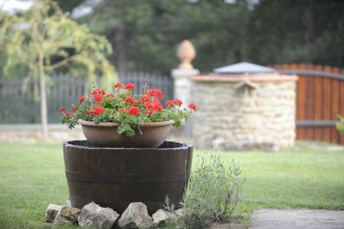Agroturismo Podere Il Corniolino