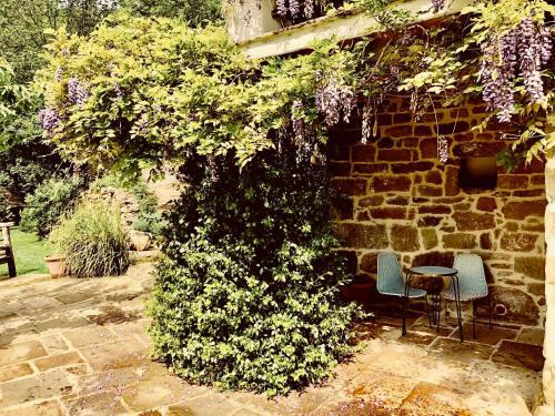 Hotel Pippo's Little Resort/2