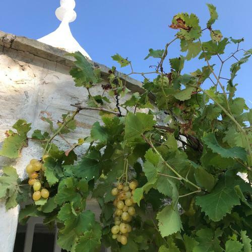 Villa Trulli Storie Di Puglia - Private Pool