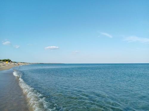 Apartamento Casa Camelia A 700 Metri Dal Mare