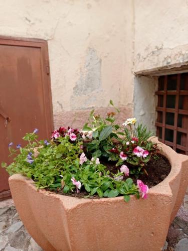 Apartamento Casa Il Giglio Bianco