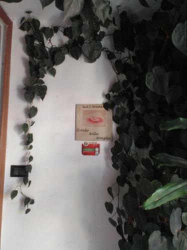 Bed & Breakfast Il Nido Della Quaglia