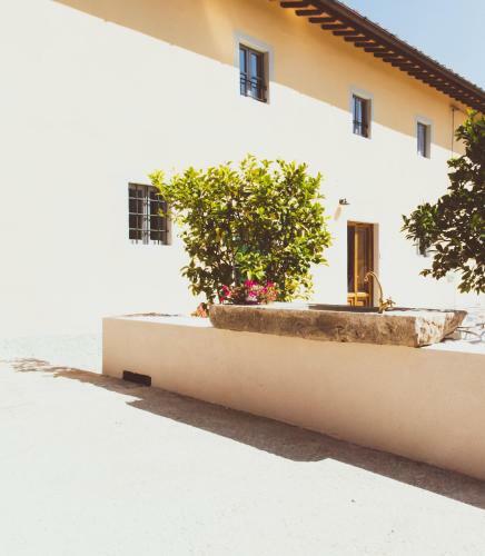 Agroturismo Ceppeto 1