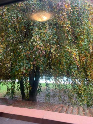 Bed & Breakfast Mezzanetti